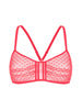 Iris Soft Cup Triangle Bra - Papaya