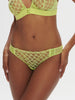 Rose Bikini Brief - Lime